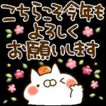 いつでも
いいよ♪