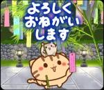 夏も飛び出す♪ ネコちゃん ハムちゃん