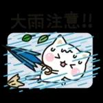 気づかいのできるネコ♪夏・梅雨編