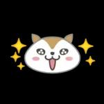 『ラヴィット！』ラッピー