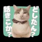 まるちゃんスタンプ＃1