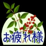 花の挨拶文