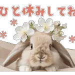 ぴょん