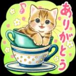 姉ぁ、おひさしぶり