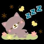 Natural Country Cat 15 flower