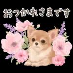 大人かわいい♡いぬと花のスタンプ