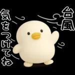 うるせぇトリ★毎年使える夏スタンプ（3Ⅾ）