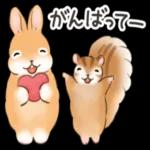 可愛いウサギ🐰からのメッセージ
