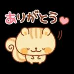 シマリスのマリーちゃん