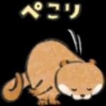 可愛い嘘のカワウソ❤️