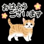 毎日☆猫たちのスタンプ