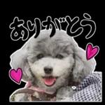 大人かわいい日常メッセージ?