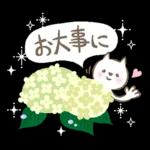 猫さん。梅雨・初夏のやさしいメッセージ