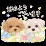 大人かわいい♡いぬと花のスタンプ