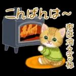 冬のキラキラおめめの子猫ちゃん
