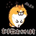 ニャー星人の楽園🤩🤩