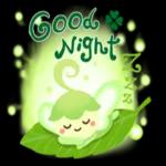 ひみつの森へようこそ