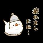 敬語が話せる！もふもふインコ