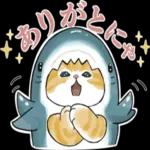サメにゃん_----