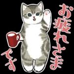 今日は猫カレーの日3