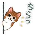 お疲れさま