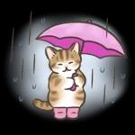 最近どう？？🥺🥺🥺