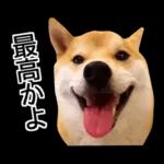 Premium 柴犬こてつ君*スタンプ第二弾