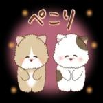 猫と仲間達♡日常。～