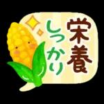 暑い日・夏のあいさつ