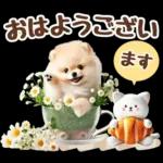 癒しポメラニアンの春のあいさつ