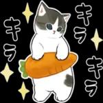 * きた