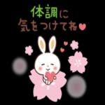 かわいいペットの爱