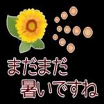 寒くなりましたね〜お体を大切に〜