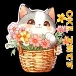 猫がいっぱい♡あいさつスタンプ🐱