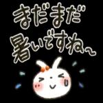 夏ー秋「白うさぎさん」