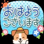 おやすみ