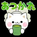 気づかいのできるネコ♪