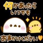 飛び出す♪もっちりヒヨコ兄弟夏