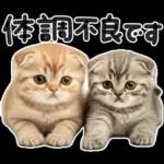 やる気ゼロ♡にゃんこ