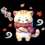 猫のつめあわせ【秋】