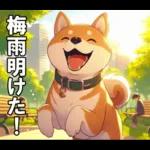 夏の天気をお知らせする柴犬【便利・日常】
