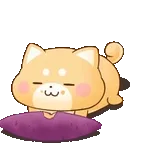 いらっしゃいませ