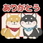 ありがとうの贈り物