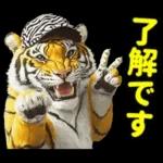 大阪神戸の野球好き虎ファン向け2