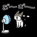 ナノときなこ7（夏）