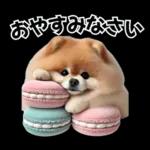 ずっと使える♡めちゃかわスイーツポメ