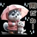 夏 猛暑 酷暑♡シベリアンハスキーとネコ