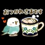 敬語が話せる！もふもふインコ