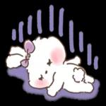 可愛いウサギ🐰からのメッセージ