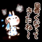 夏・天気✨【白うさぎ＆時々インコ】